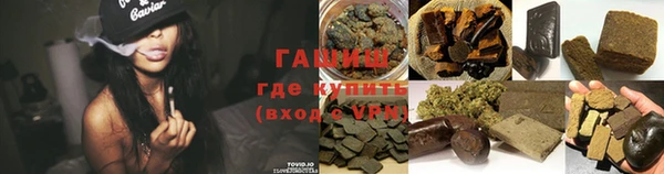 индика Медногорск