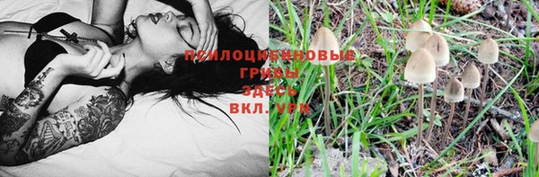 амф Абинск