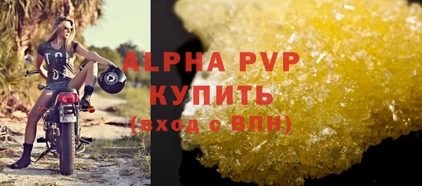 индика Медногорск