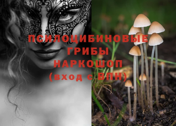 амф Абинск
